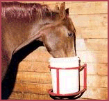 horse bucket holder