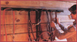 bridle rack curved style